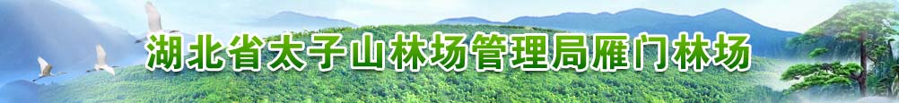 宣传图片一